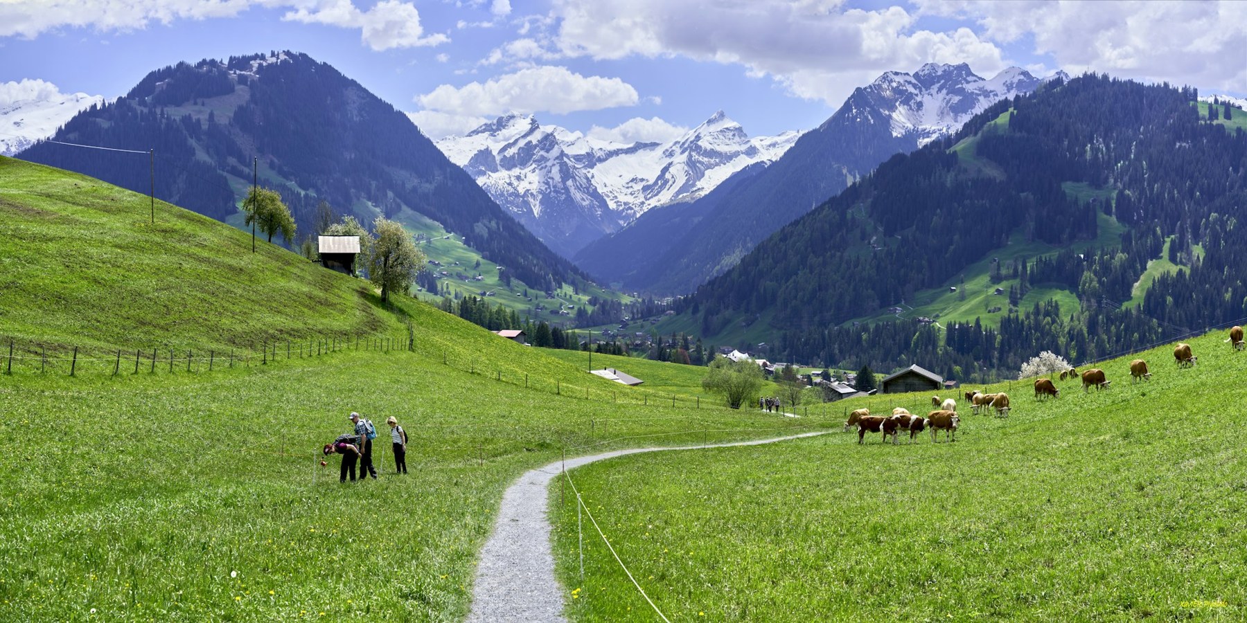 Panorama between Saanenmöser and Gstaad